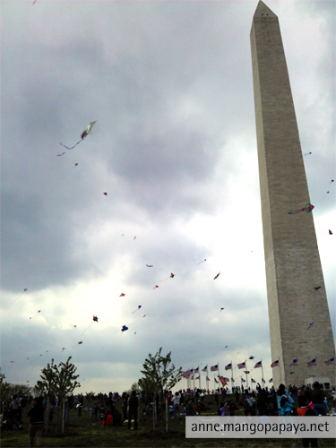 Kites by the Washington Monument